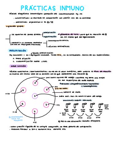 Practicas Inmunologo Pdf