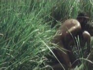 Jungle Holocaust Nude Pics Page