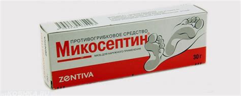 Лечение микроспории у кошек в домашних условиях