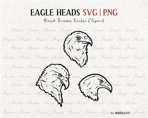 Eagle Head Svg Clipart Bundle Eagle Vector Line Drawings Bald Eagle