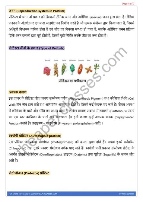 Class Biology Notes In Hindi Pdf All Chapters Apex Classes