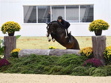 It was a Spectacular Sunday at the World Equestrian Center - World ...