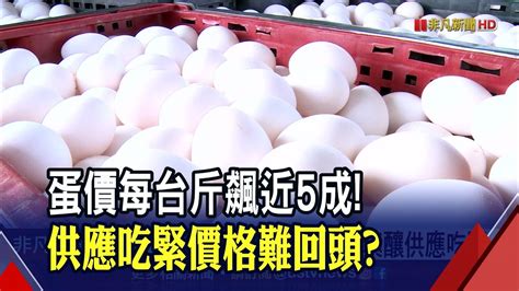 雞蛋缺很大 攤商半個月叫不到貨蛋價每台斤飆漲近5成短期回不去｜非凡財經新聞｜20220126 Youtube