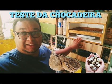 Como Colocar Ovos De Codorna Para Chocar E Teste Da Chocadeira Caseira