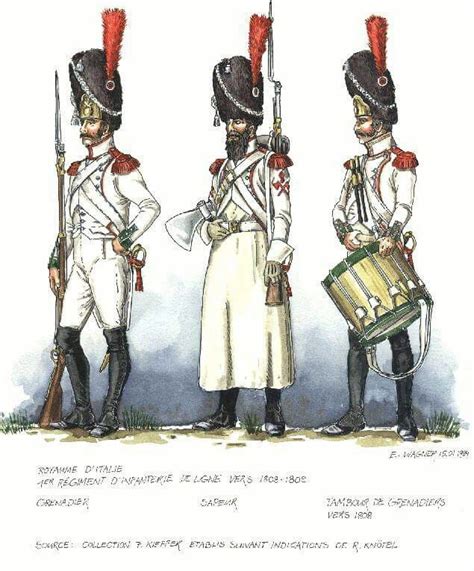 Italy 1st Line Infantry Grenadier Sapper Grenadier Drummer C 1808 Napoleone Esercito