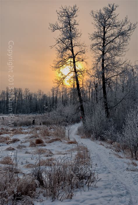 Winter in Alberta: Elk Island National Park