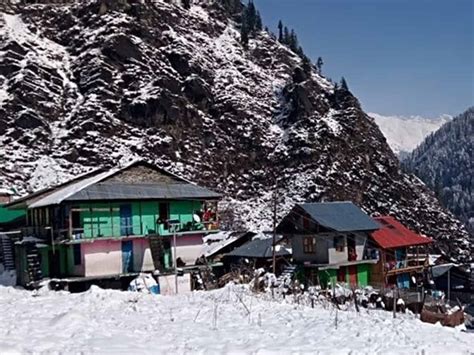 Fresh Snowfall In Himachal Cold Wave Intensifies