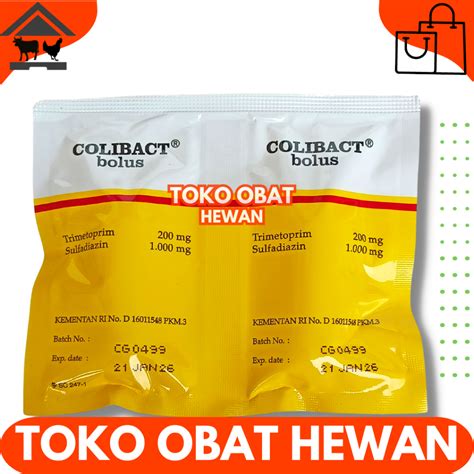 Jual Colibact Bolus Bolus Sanbe Obat Antibakteri Hewan Ternak Diare