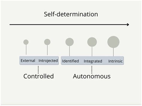 Applying Self Determination Theory To Education Regulations Types Psychological Needs And