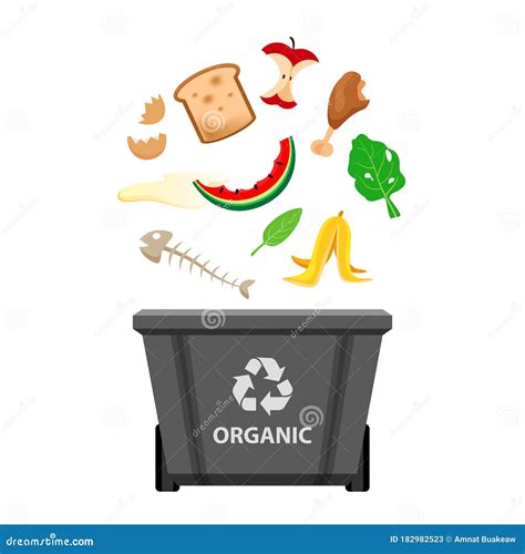 Organic Waste And Grey Recycling Plastic Bin Isolated On White