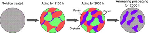 Schematic Representation Of Microstructure Evolution Illustrating The