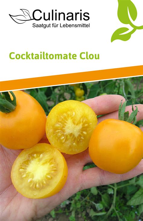 Cocktailtomate Clou Bio Cocktailtomatensamen Von Culinaris