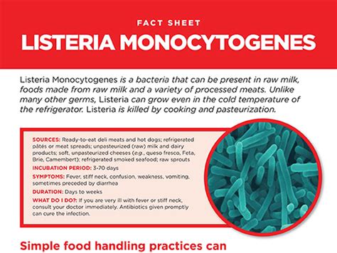 Listeria Monocytogenes Fact Sheet Sani Professional