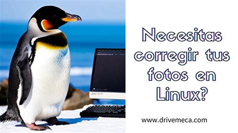 Como Mejorar Tus Fotos En Linux YouTube