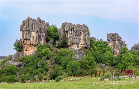 Shilin Stone Forest Yunnan Province China Photograph By Ulysse Pixel