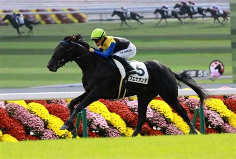 【京都5r新馬】ブエナオンダv 川田「心も体も成長してくれたら」 競馬ニュース Netkeiba