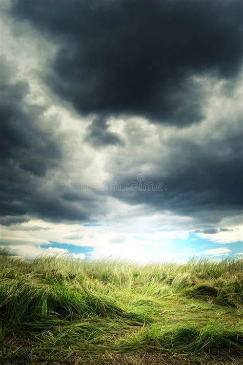 Nuvens De Tempestade Sobre O Campo Verde Imagem De Stock Imagem De