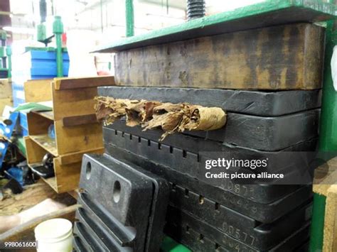 685 Cigar Press Stock Photos High Res Pictures And Images Getty Images