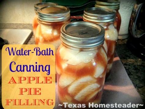 Apple Pie Filling Recipe With Canning Option ~ Texas Homesteader