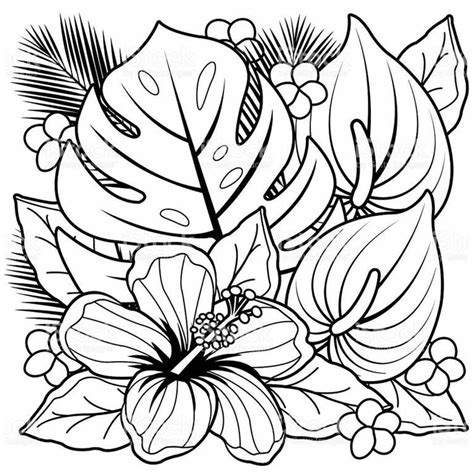 Desenhos Para Colorir De Flores Bonitas Flor De Rosa Rosas Preto E