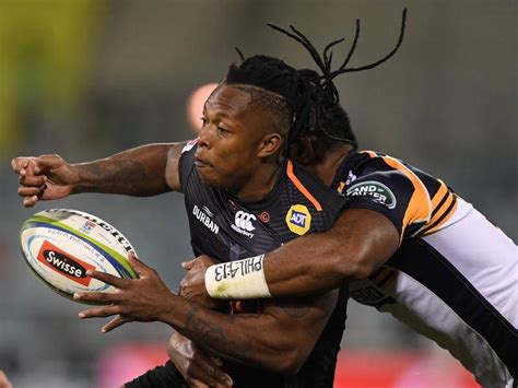 Boks World Cup Winner Nkosi Goes Missing Illawarra Mercury