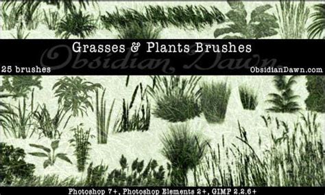 Grass And Foliage Photoshop Brushes Psddude