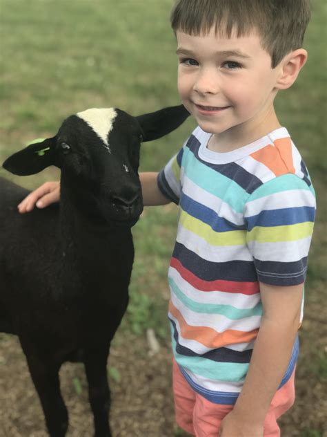 Bumble Bee – Feighner Family Farms