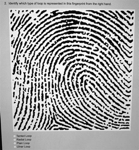 SOLVED: Identify which type of loop is represented in this fingerprint ...