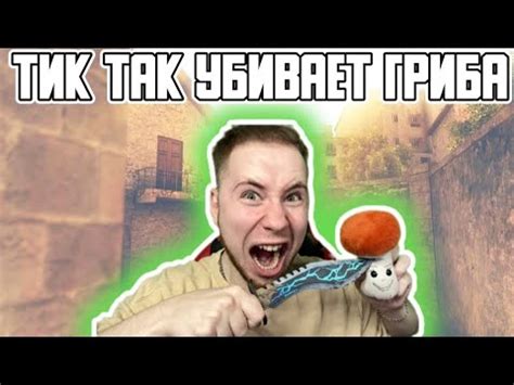 ТИК ТАК УБИВАЕТ ГРИБА!!! ПОСЛЕДНИЙ СТРИМ С ГРИБОМ?! - YouTube