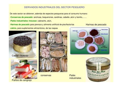 Substantivos Derivados De Mar - 8