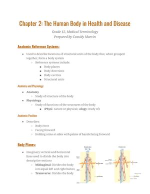 Chapter 1 Introduction To Medical Terminology Notes Identify Roles Of