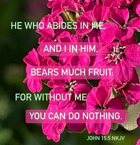 Pink Flowers With The Words He Who Abides In Me And I In Him Bears