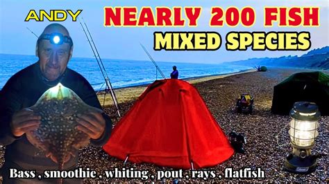 Sea Fishing Dunwich Cliffs Beach Shore Angling Suffolk Coast Hectic