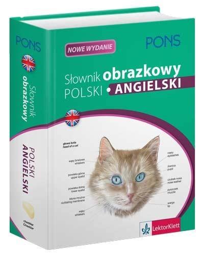 S Ownik Obrazkowy Polski Angielski Opracowanie Zbiorowe Ksi Ka W Empik