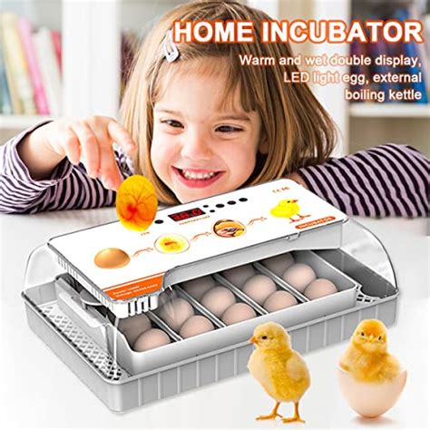 Haosidsn Egg Incubator Eggs Fully Automatic Poultry Hatcher