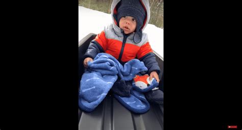 Dog Pulls A Sled With A Toddler On It And The Babys Terrified