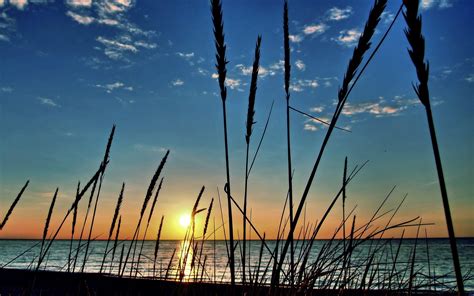 Sunset Beach Grass Wallpapers - Top Free Sunset Beach Grass Backgrounds ...