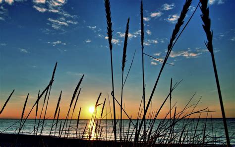 Sunset Beach Grass Wallpapers Top Free Sunset Beach Grass Backgrounds