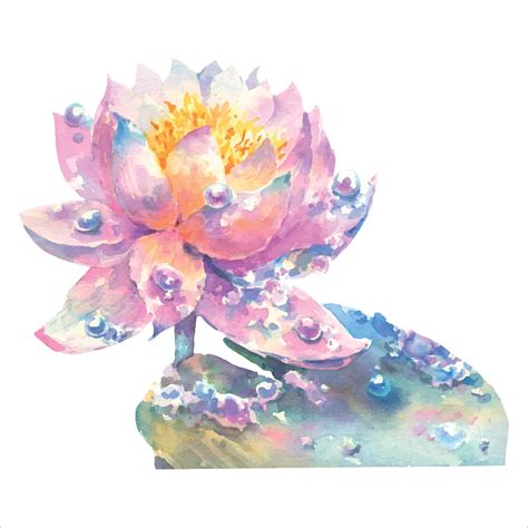 Pink Water Lily Flower With Dew Drops Watercolor Illustration Isolated