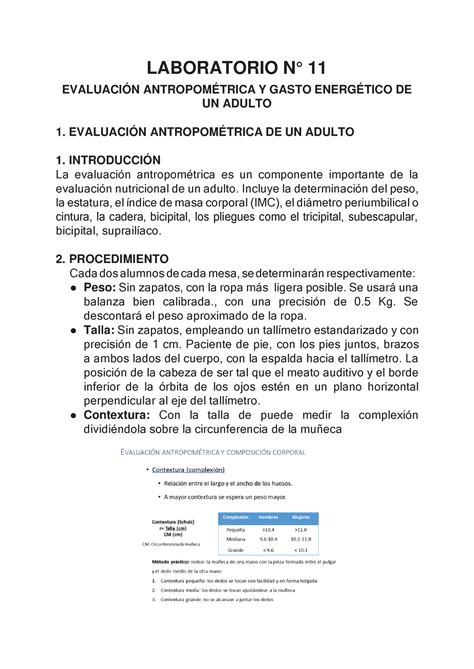 Informe Bioqu Mica Laboratorio N Laboratorio N Evaluaci N