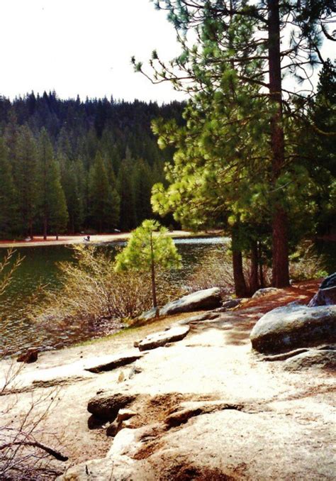 Hume Lake Sequoia National Park Pictures Of Delightful Discovery