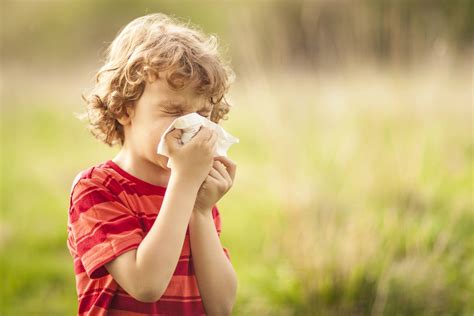 Zahlen Daten Fakten Zum Thema Allergie Allergiecheck De