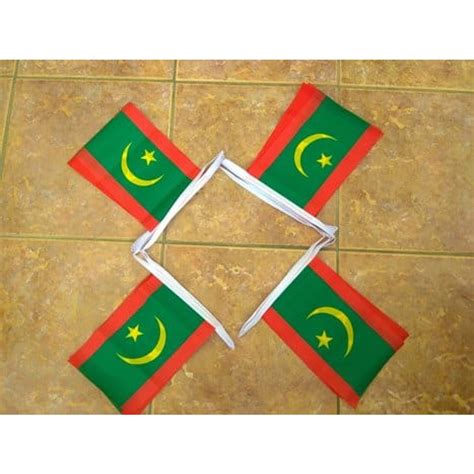 6m 20 Flag Mauritania New Bunting World Flag Shop