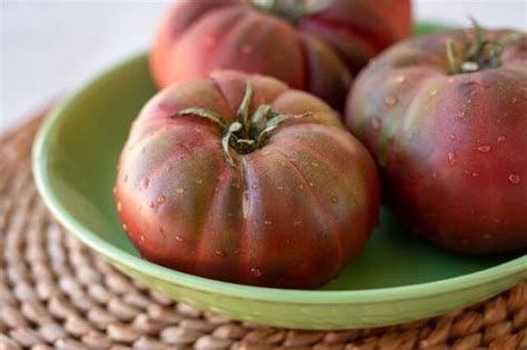 The Paul Robeson Tomato Minneopa Orchards