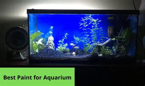 Best Paint For Aquarium Glass: Make Your Background Look Better - Home ...