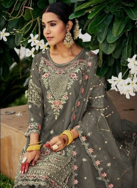 D By Deepsy Organza Pakistani Readymade Suits Catalog The Ethnic