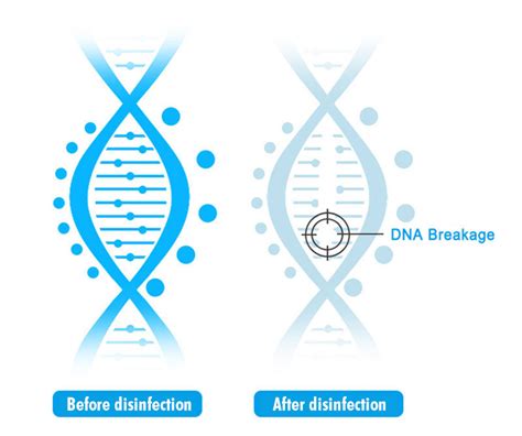 UV Disinfection Lamp – Solunis Medical: Shaping the Future of Aesthetics