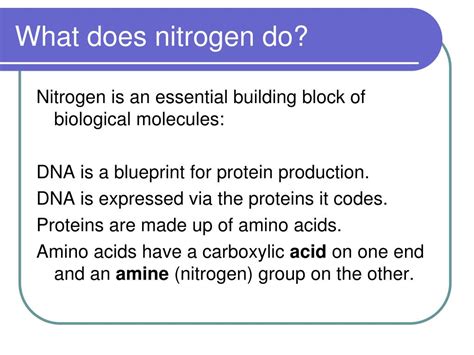 Ppt Nitrogen In All Its Forms Powerpoint Presentation Free Download Id 583665