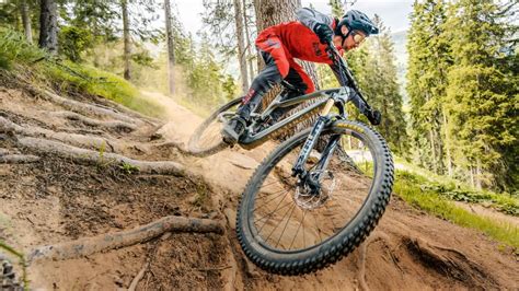 Fahrwerks Setup am MTB Wie funktionieren Federgabel und Dämpfer BIKE