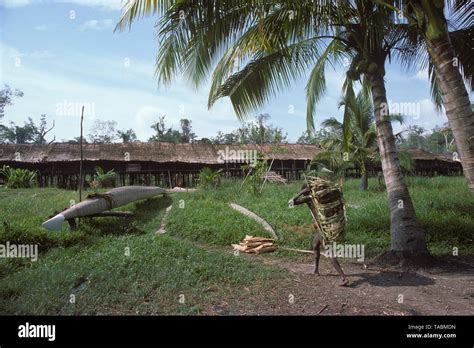 Pueblo Asmat Grupos étnicos Que Viven En La Provincia De Papúa En